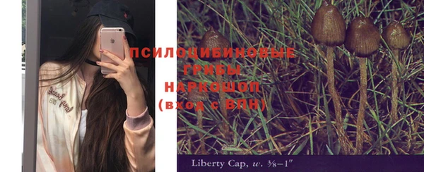 крисы Алексеевка