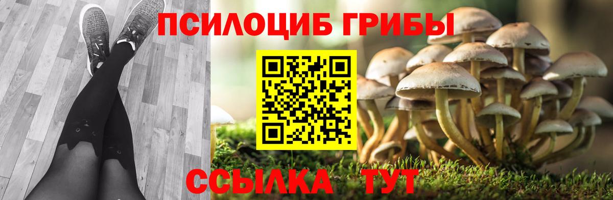Псилоцибиновые грибы Cubensis  Псилоцибиновые грибы мухоморы  Балашов  Вход с VPN 